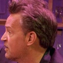 BWW Review: Matthew Perry's THE END OF LONGING or The One About The Sexist Male Fanta
