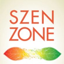 Author Gary Szenderski Releases SZEN ZONE