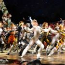 BWW Review: CATS at the Civic Theatre