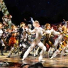 BWW Review: CATS at the Civic Theatre