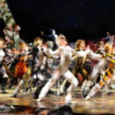 BWW Review: CATS at the Civic Theatre