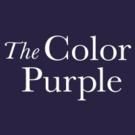 Audience Rewards Pre-Sale for THE COLOR PURPLE on Broadway Begins Next Week