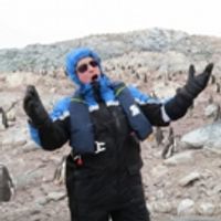 STAGE TUBE: Penguins Scatter From Opera Singer's Aria Video
