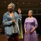 Review Roundup: HEAD OF PASSES, Starring Phylicia Rashad, Opens at The Public