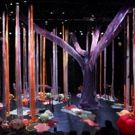 CAC to Present PearlDamour and Shawn Hall's HOW TO BUILD A FOREST This Month
