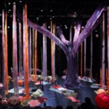 CAC to Present PearlDamour and Shawn Hall's HOW TO BUILD A FOREST This Month