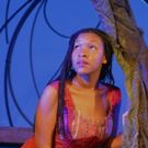 BWW Review: THE LITTLE MERMAID Ebbs and Swells at the Rose Theater