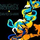 Naughty Professor Release Video and First Listen of New Song 'Stray'