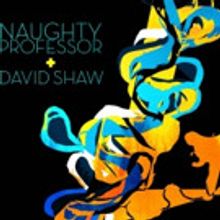 Naughty Professor Release Video and First Listen of New Song 'Stray'