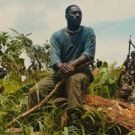 Netflix's BEASTS OF NO NATION Wins 3 Awards at Capri, Hollywood International Film…