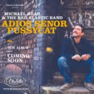 Michael Head Puts the Finishing Touches to New Album
