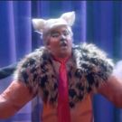 VIDEO: CONAN Wonders Why No One's Paying Attention to Trump-Themed CATS Revival