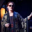 Glenn Close Stops the Show at SUNSET BOULEVARD to Stop Photo-Taking Audience Member