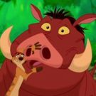 Hakuna Matata! Disney's Live-Action LION KING Finds Its Timon & Pumbaa