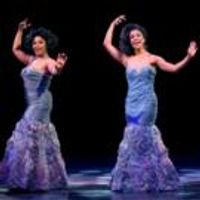 BWW REVIEW: Dream Cast Ignites DREAMGIRLS at NSMT Photo