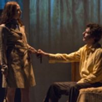BWW Review: Steppenwolf's MARY PAGE MARLOWE Struggles to Find Its Identity Photo