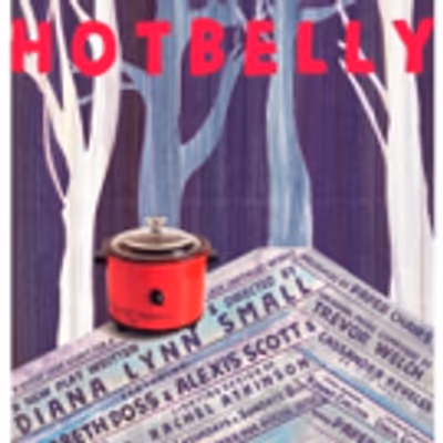 BWW Review: Paper Chairs Presents World Premiere HOT BELLY