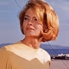 CRIME SCENES: DONALD WESTLAKE ON FILM to Celebrate the Famed Writer's Work