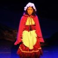 BWW Reviews: Valley Youth Theatre Presents INTO THE WOODS Photo