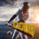 Penguin Rep Presents Lee Blessing's COBB