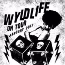 WYLDLIFE Share 'Contraband' Video; Kicks Off U.S. Tour
