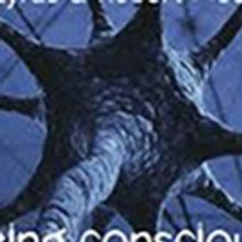 PLASTICITY Extends Through 5/1 at Hudson Theatre