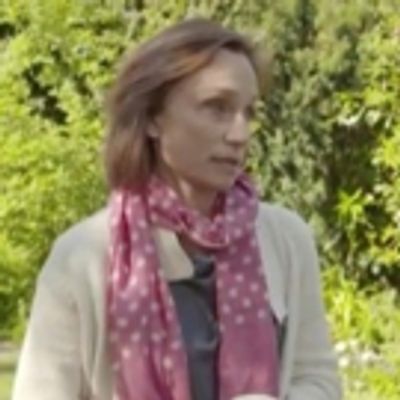 Headlong & The Guardian Release BREXIT SHORTS: DRAMAS FROM A DIVIDED NATION