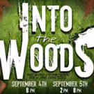 Dare to Defy Productions Presents INTO THE WOODS This Weekend