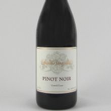 Sarah's Vineyard Teams Up With Vision Wine Brands In New York