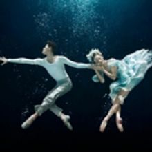 Miami City Ballet Presents Open Barre: Dance + Drama Featuring Excerpts From A MIDSUM