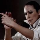 BWW Reviews: AL SON SON Rouses at Tribeca Performing Arts Center