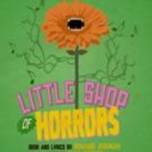 Ryan Vona and Lauren Marcus Lead LITTLE SHOP OF HORRORS, Beginning Tonight at Sharon 