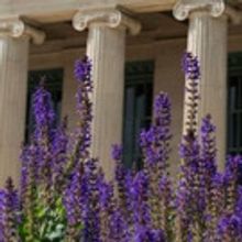 Northrop Presents Aszure Barton & Artists 2016//17 Northrop Season