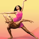 Anthony Anderson & Roland S. Martin Chair 2016 Ailey Spirit Gala Today