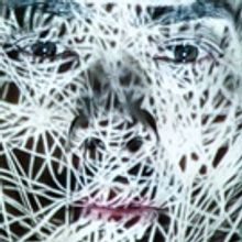 Harbourfront Centre to Present WORLD STAGE 2016