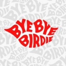 NBC Delays Production of BYE BYE BIRDIE LIVE Until 2018