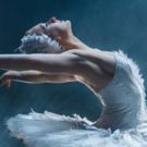 Boston Ballet to Launch Spring Season with SWAN LAKE