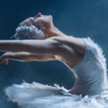 Boston Ballet to Launch Spring Season with SWAN LAKE