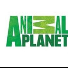 Animal Planet to Premiere New Season of FINDING BIGFOOT, 1/3
