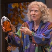 Photo Flash: First Look at THE VELOCITY OF AUTUMN at TheatreWorks Silicon Valley