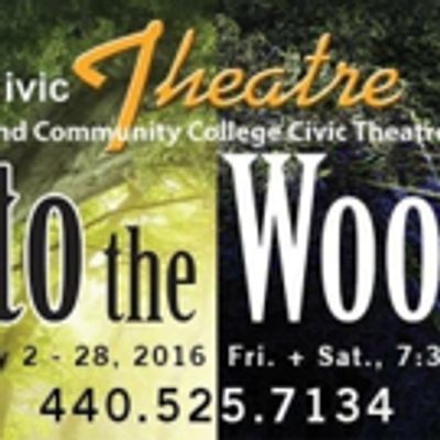 BWW Review: Lakeland Civic Theatre Journeys INTO THE WOODS for Wishes, Choices and Consequences