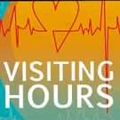 VISITING HOURS to Premiere at TheaterLab