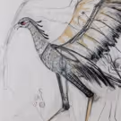 FIREBIRD: REIMAGINED, Featuring Larger-Than-Life Puppets, Comes to the Mann