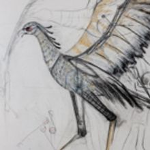 FIREBIRD: REIMAGINED, Featuring Larger-Than-Life Puppets, Comes to the Mann