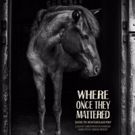 River Street Theatre to Hold Fundraiser for Villi Poni Farm