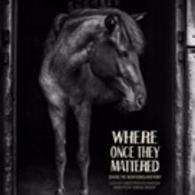 River Street Theatre to Hold Fundraiser for Villi Poni Farm