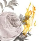 Angela Lansbury's Nephew, David Lansbury, Will Join Her in THE CHALK GARDEN Reading