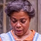 Photo Flash: Seattle Repertory Presents A RAISIN IN THE SUN