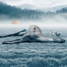 Defibrillator Announces Revival Of Sam Shepard's A LIE OF THE MIND At Southwark Playh