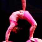 Brooklyn Center for the Performing Arts to Welcome The Golden Dragon Acrobats, 3/13